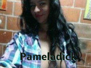 pameladick Sextrans