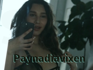 Paynadiavixen