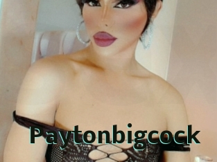 Paytonbigcock