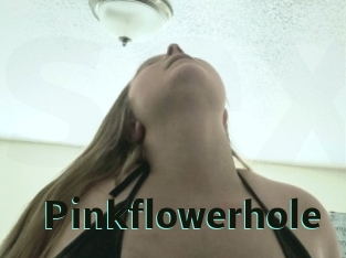 Pinkflowerhole