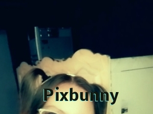 Pixbunny