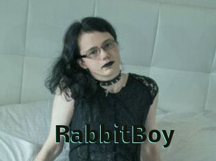 RabbitBoy