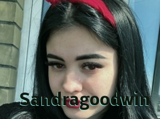 sandragoodwin Sextrans