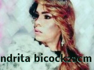 sandrita_bicock22cm Sextrans