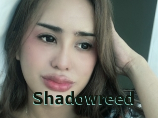 Shadowreed