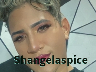shangelaspice Sextrans