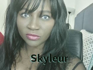 skyleur Sextrans