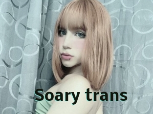 Soary_trans