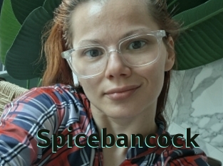 Spicebancock