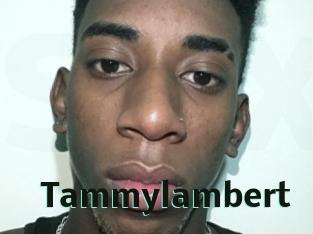Tammylambert