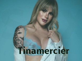 Tinamercier