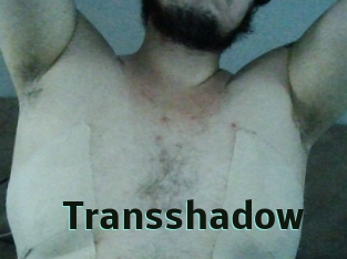 Transshadow
