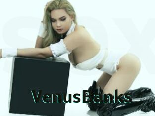 VenusBanks