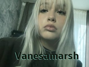 Vanesamarsh