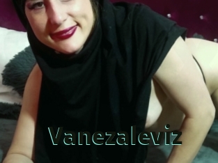 Vanezaleviz
