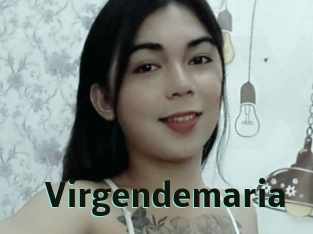 Virgendemaria