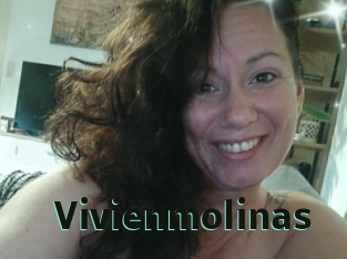 Vivienmolinas
