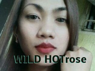 WILD_HOTrose