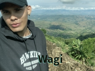 wagi Sextrans
