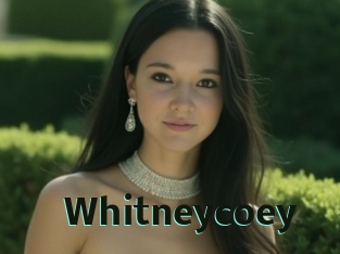 whitneycoey Sextrans