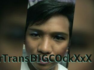 YourTransBIGCOckXxX
