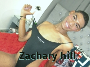 Zachary_hill